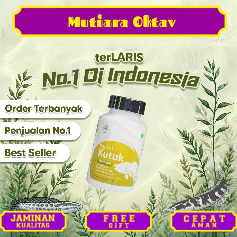 Kapsul Kutuk Premium Albumin Terlaris - Pengering Penyembuhan Luka Diabetes / Pasca Operasi / Melahi