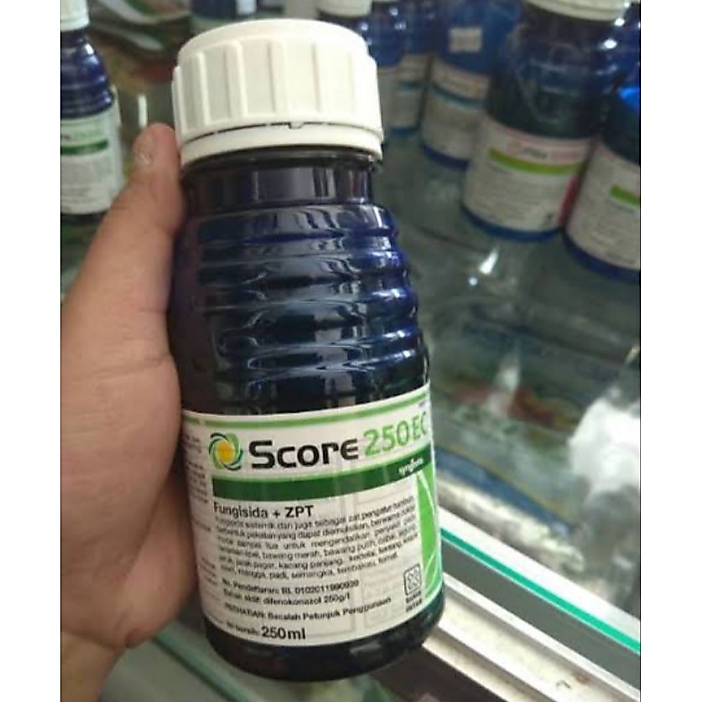 SCORE 250ml