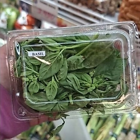 Daun Basil Fresh / Daun Basil Segar / 50 gr