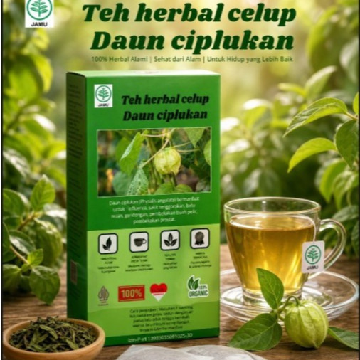 Ciplukan Leaf Tea : Teh Daun Ciplukan / Teh Celup Daun Ciplukan Isi 30 Tea Bag ORIGINAL