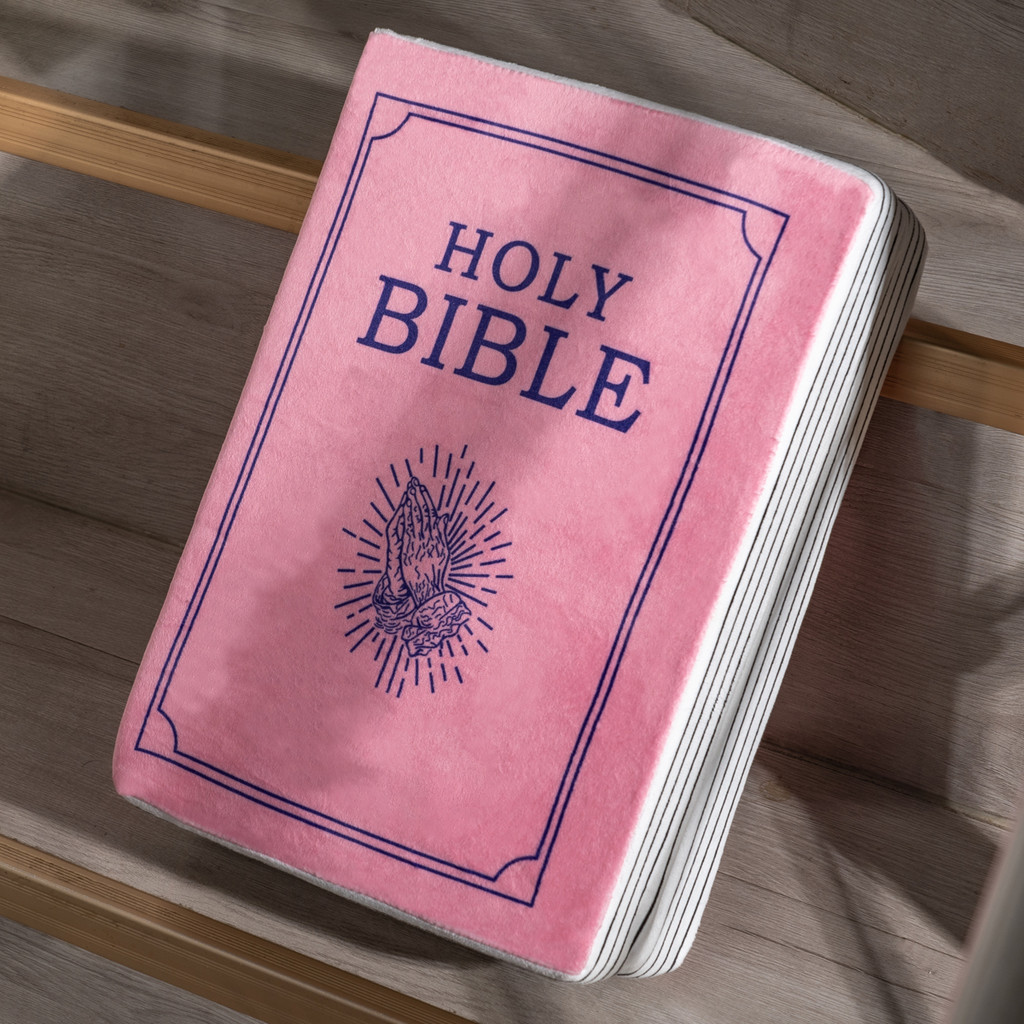 

John 3 Pink Cutest Bible Memory Foam Pillow with Bible Throw Pillow Learn the valuable lesson Learn the valuable lesson