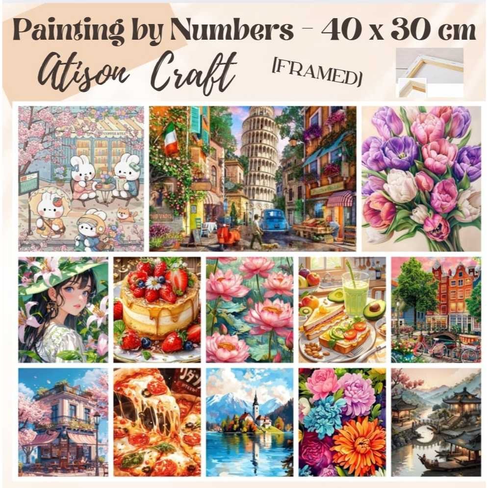 

New FRAMED Paint By Number 40 x 30 cm - painting kit 40x30 cmPremium