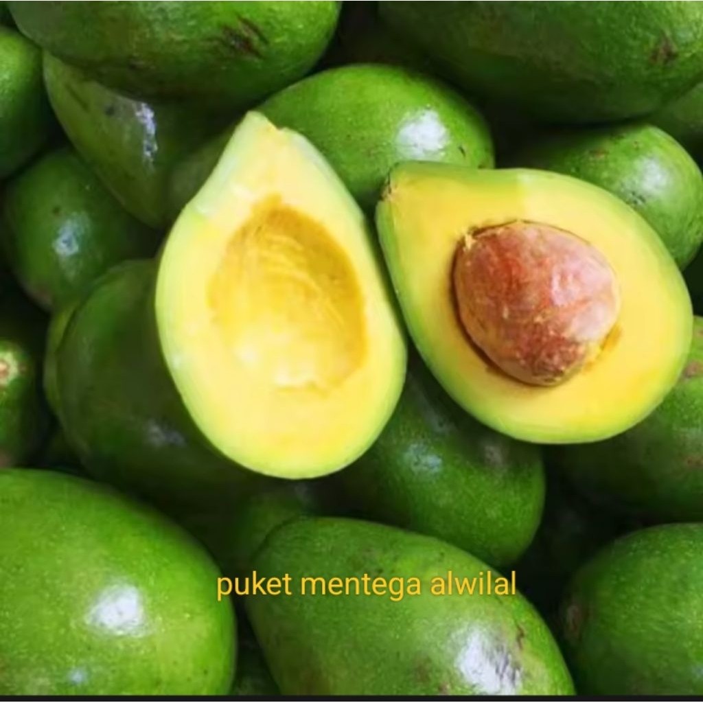 

Alpuket mentega fresh 1kg isi 4.5.6.7