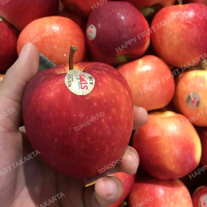 

Apel bostock star premium 1 kg / apel garing manis new zeland