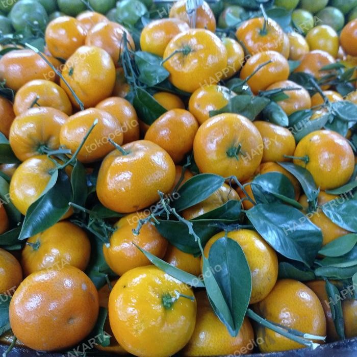 

Jeruk Murcot kecil 1 kg