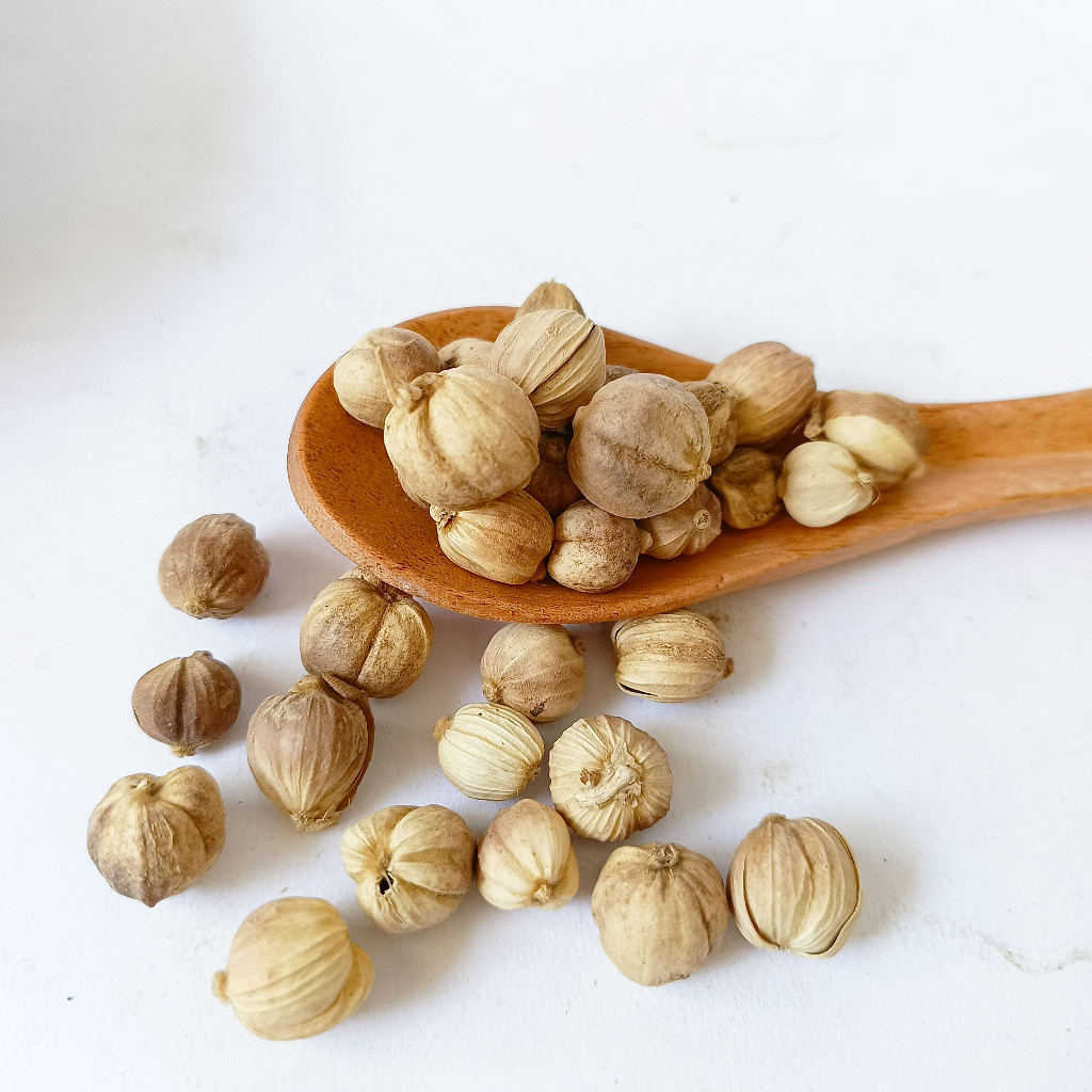 

Kapulaga 100% ORIGINAL