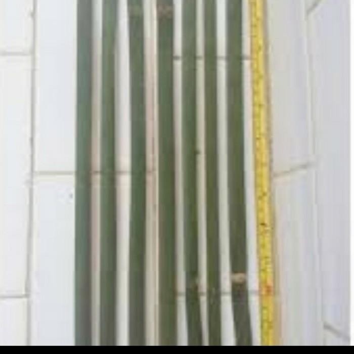 Batang Bilah Bambu Tanaman Pagar - ajir Tanaman Stake Plant 180 cm