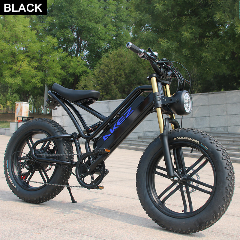 DZ WJW Advanced A  STOCK 500w 750w 1000W Akez Off Road  Electric Bike Fat Tire  E-bike