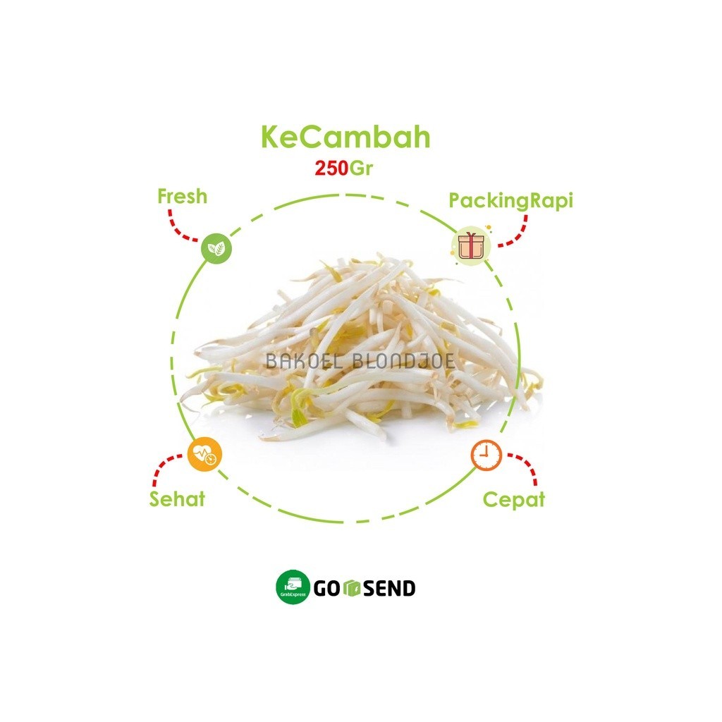 

KECAMBAH 500gr / TAUGE / CAMBAH SAYUR MURAH DAN SEGAR / SPROUTS / FRESH VEGETABLES / SAYURAN