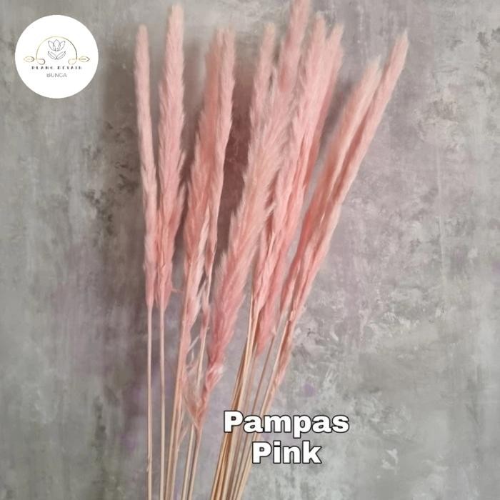 Bunga Kering Pampas Natural Buket Import Dekorasi Rumah Pernikahan Cafe Setiap Pengiriman Dicheck Te