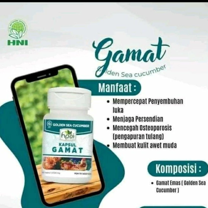KAPSUL GAMAT HNI (GAMAT EMAS ) OBAT SENDI - 60 kapsul