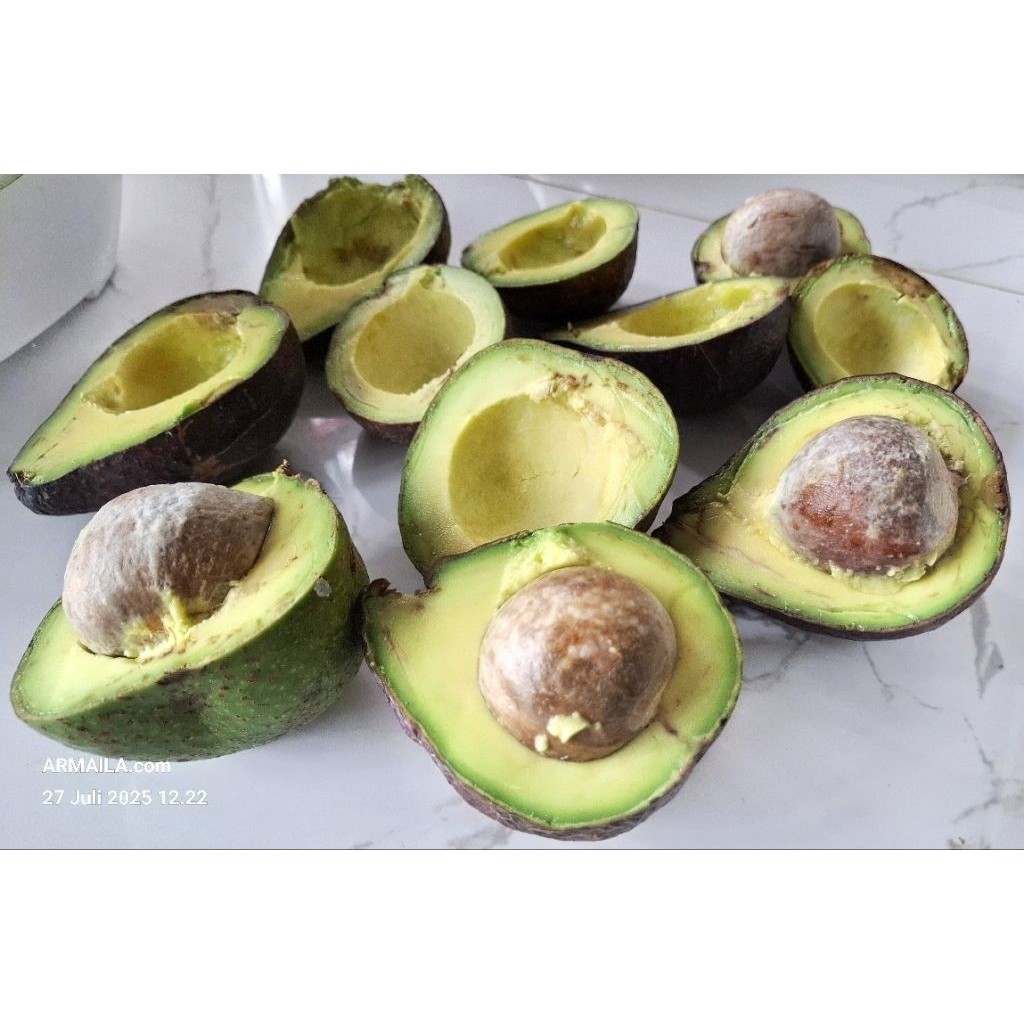 

^ Buah Alpukat Pokat Avocado Gayo Pokat Susu atau Pokat Mentega Enak Legit 1 Kg ^