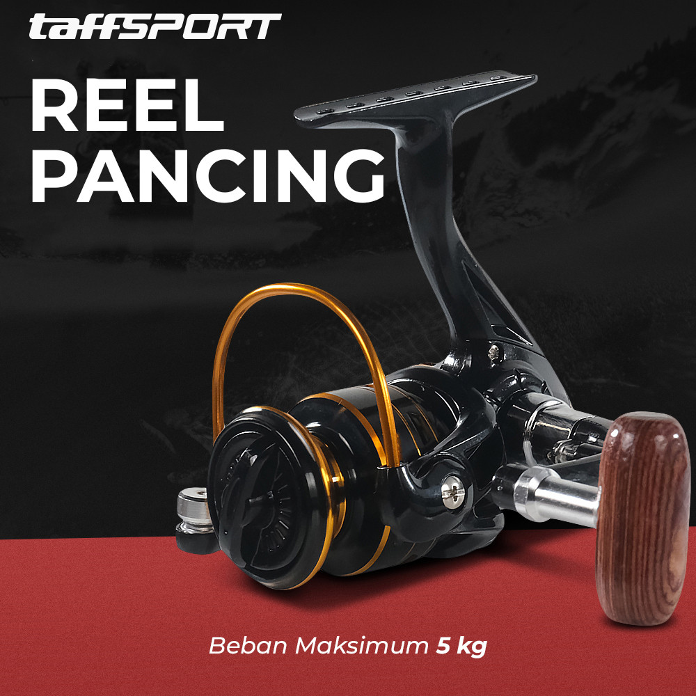 Reel Pancing Spinning Fishing Reel Gear Ratio 5.2:1