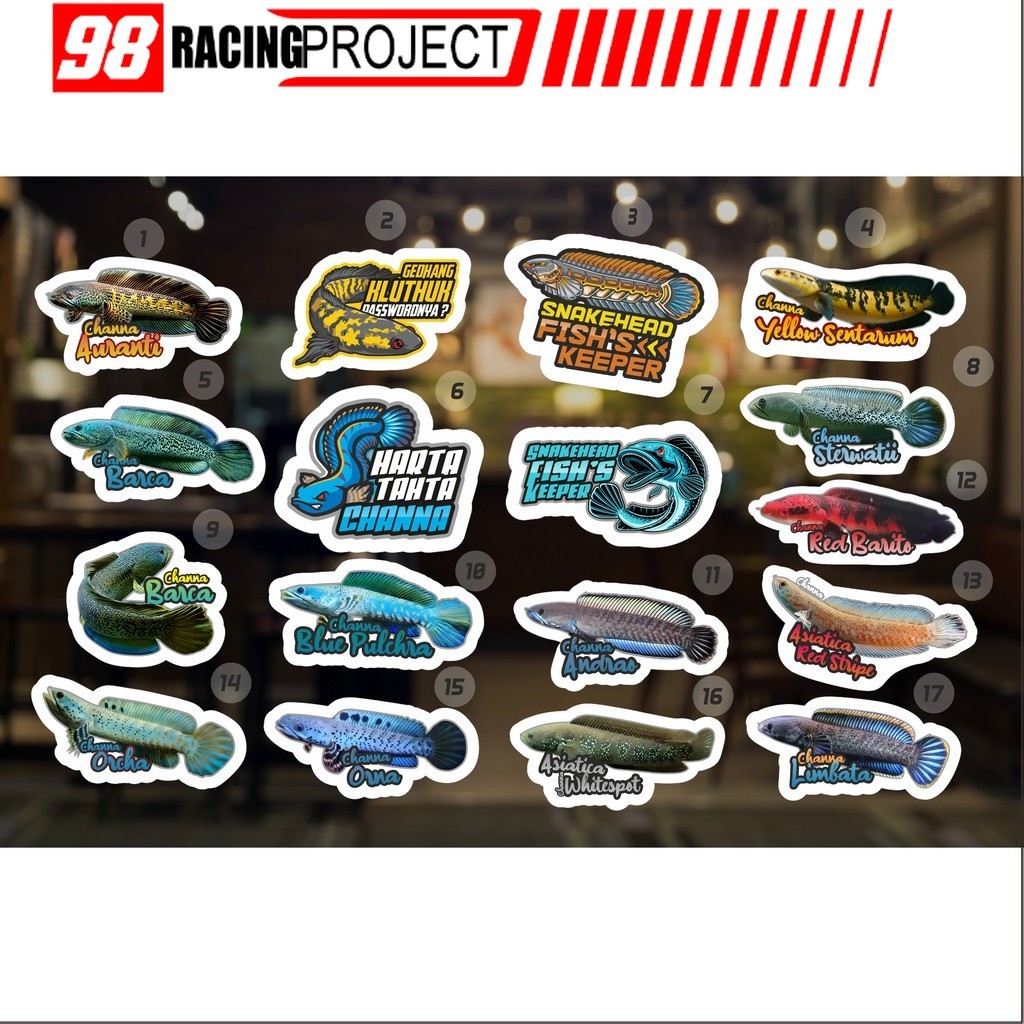 Sticker Stiker Aquarium Channa Snakehead Terlengkap