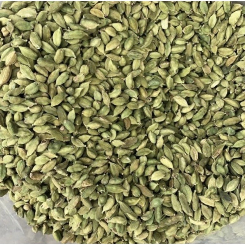 kapulaga india/kapulaga arab/kapulaga hijau