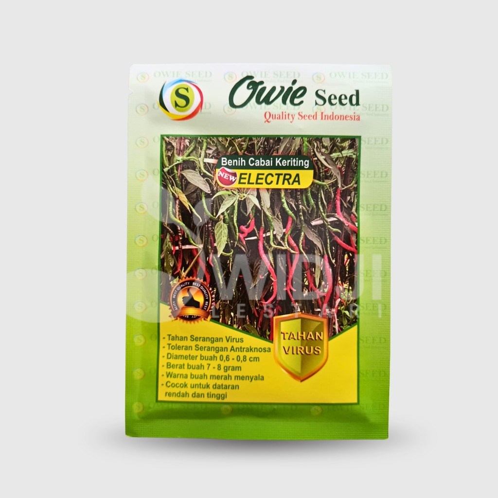 benih cabe unggul ELECTRA tahan virus kuning