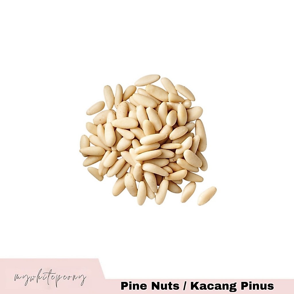 Pine Nuts / Kacang Pinus