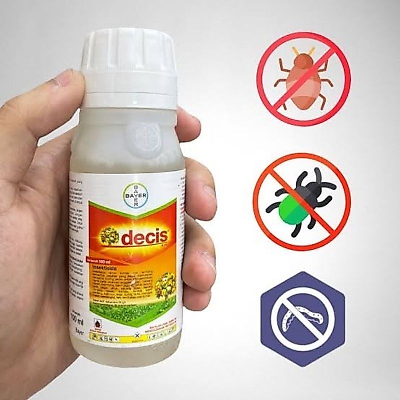 Insektisida DECIS - 100 Ml Obat pembasmi hama ulat kutu putih belalang