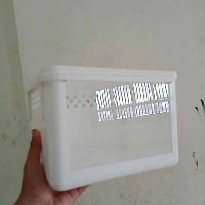 Turtle Box (Kandang Kura Kura)