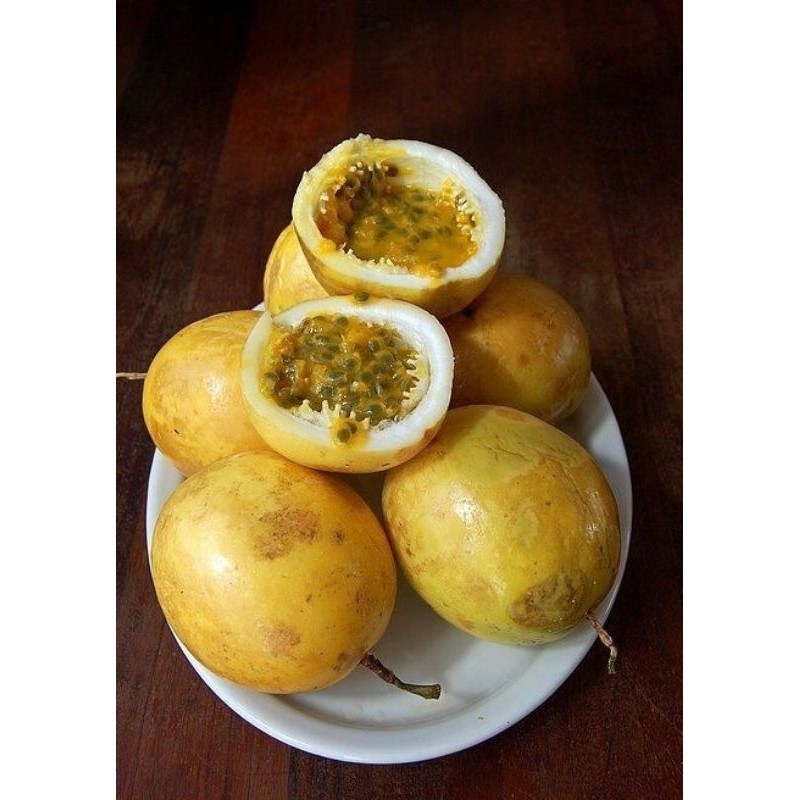 

BUAH MARKISA KUNING SEGER MURAH 500 gram