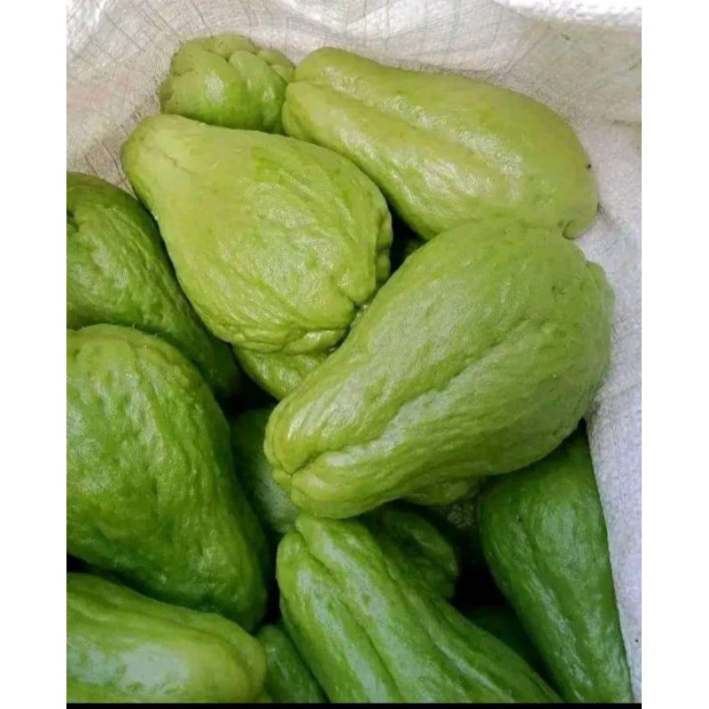 

Labu Siam Fresh Petik Baru 500g-1kg