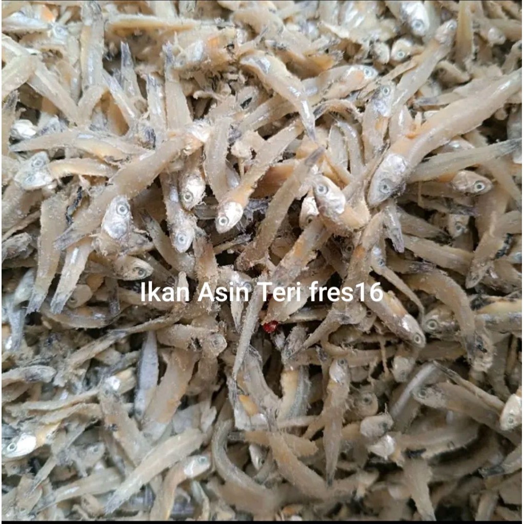 

Ikan Asin Teri fres16