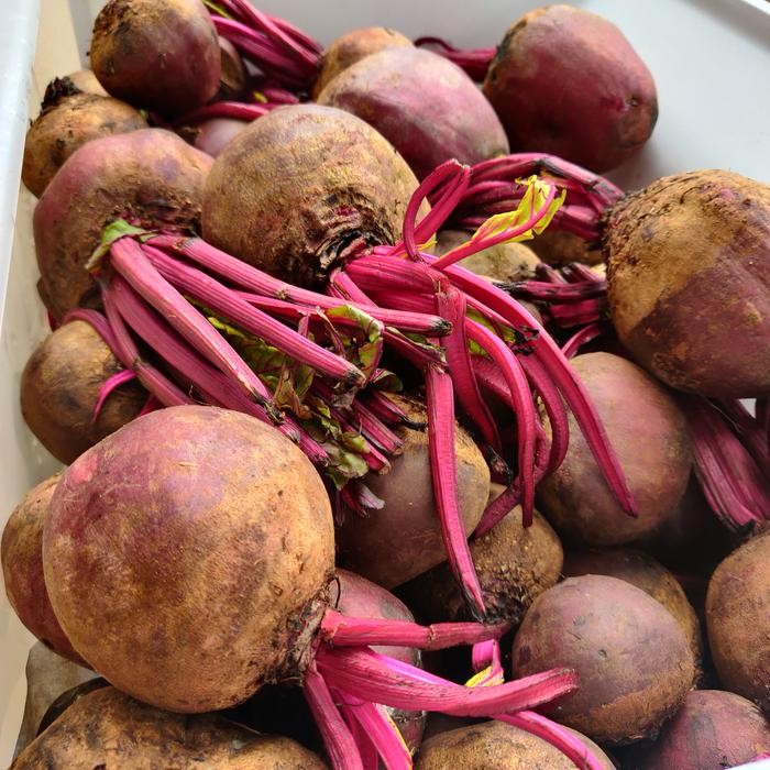 Buah Bit / Beet / Beet Root / Beetroot Merah Fresh 1 Kg