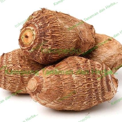 New Umbi Talas Pulen 600 gr ubi talas gajah enak pulen