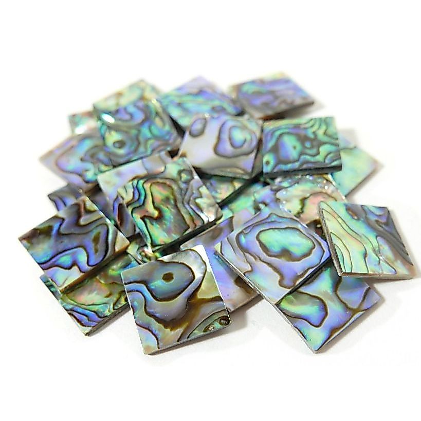 ABALONE MOSAIC TILES NEW ZEALAND 15x15mm ABALONE SHELL ABALONE TILE BACKSPLASH CANGKANG KERANG KULIT