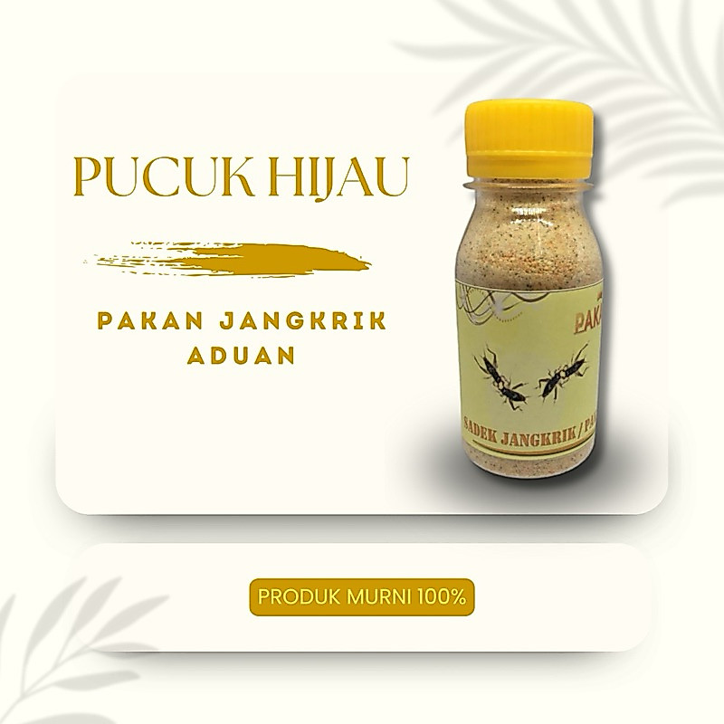 Pakan Jangkrik Aduan atau Sadek Jangkrik