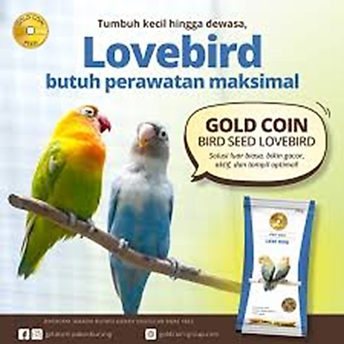 Grosir 1 dus isi 40 GOLD COIN LOVEBIRD pakan burung lovebird kenari finch falk