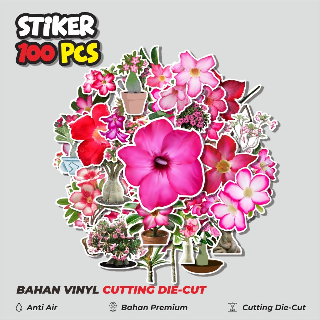

Terbaru! 50 pcs Stiker Bunga Adenium Flower Dekorasi Lucu Kreatif untuk Notebook, Skateboard, HP