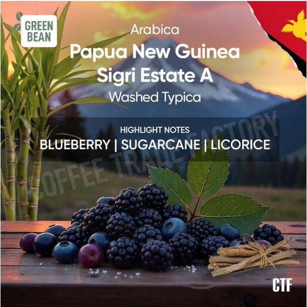 

Trosten x CTF Green Beans Arabika Papua New Guinea Estate A Fullwashed Dryhull Typica / Coffee Trade Factory CTF / Green Bean Arabica Biji kopi mentah full wash premium berkualitas greenbean specialty coffee