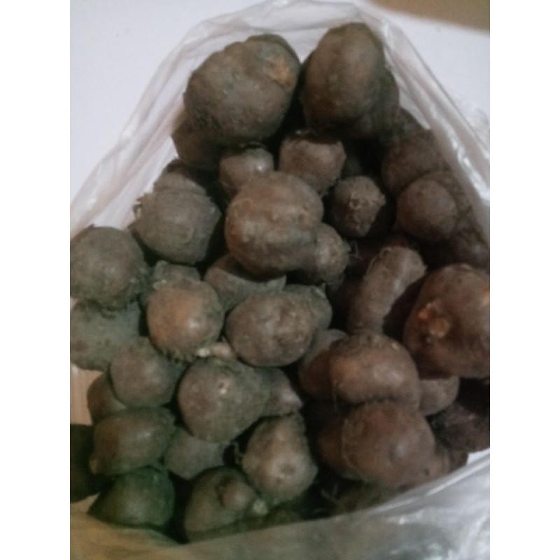 kentang hitam/kentang jembut 1kg