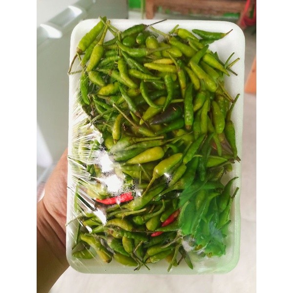 

Cabe Lombok Botol Fresh Segar