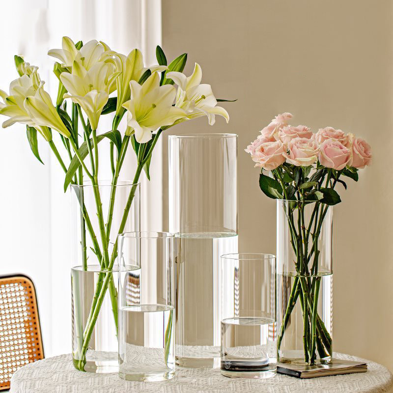 Light Luxury Vase Ins Style Cylinder Vase Transparent Flower Vase Living Room Decoration Vase Househ