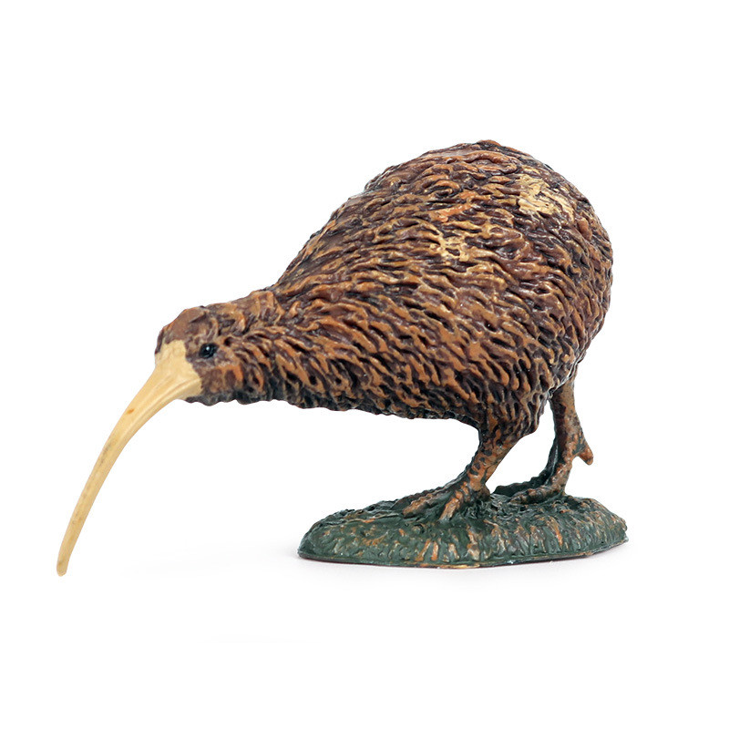 ildren's solid bird simulation animal model toys, wild plastic animals, birds, kiwi ornaments