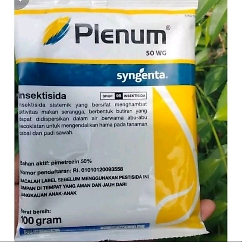 plenum 100gram