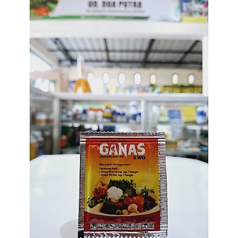 Zat Pengatur Tumbuh GANAS 5 WG +IAA