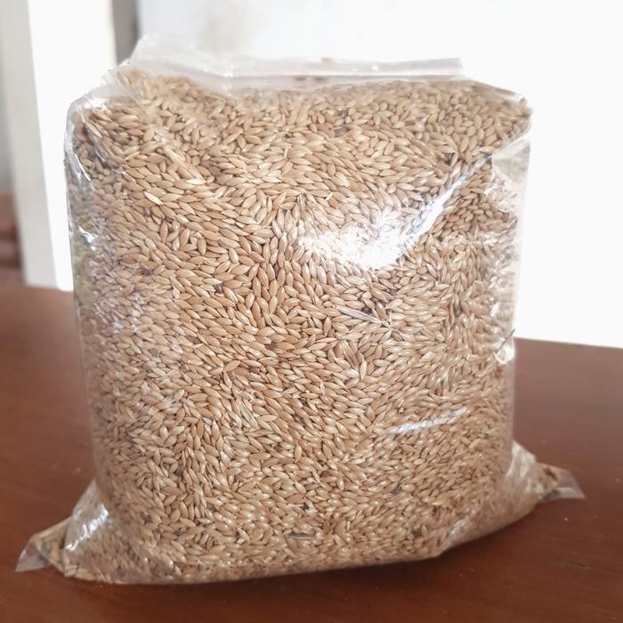 Canary Seed / Kenari Seed Kiloan