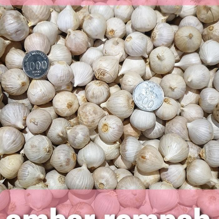 

Bawang putih tunggal/bawang putih lanang 1kg