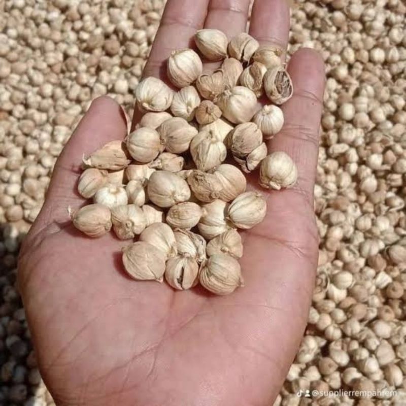 

kapulaga kering 100gr hasil petani Purbalingga