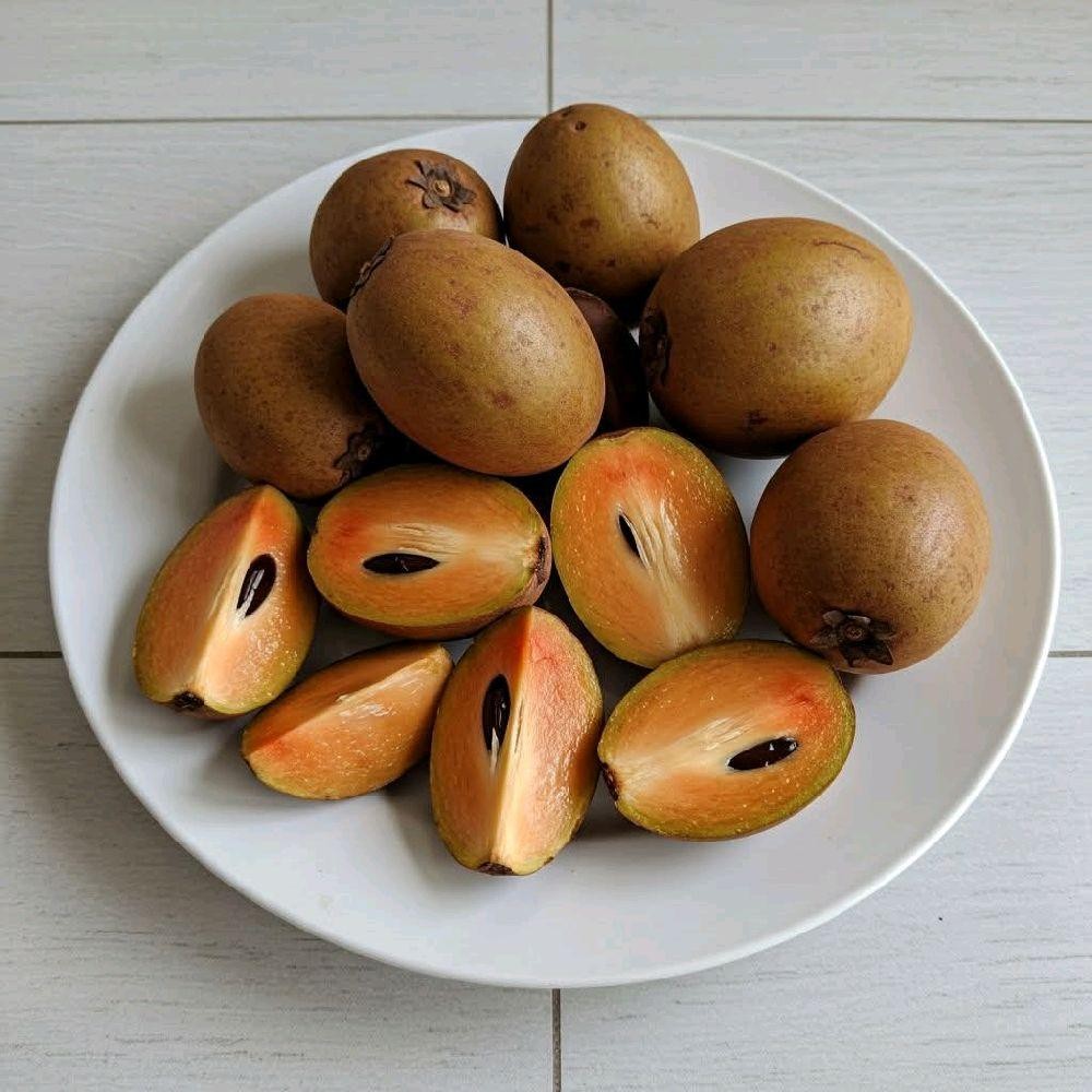 

BUAH SAWO MATANG SEGAR 1 KG - SAWO MADU MANIS DAN LEZAT