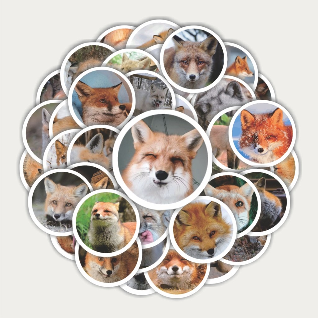 

Sticker Pack Stiker Funny Character Real Fox Portrait | Sticker TUMBLR | Stiker LAPTOP KOPER HELM