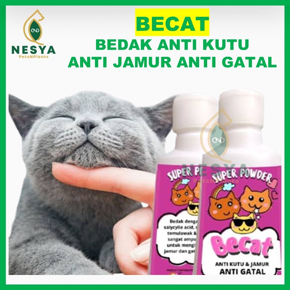 BECAT Powder Bedak Kucing Anti Kutu Jamur Dan Gatal Bedak Wangi Kucing
