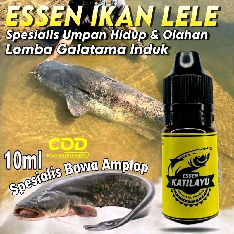 Essen Super Galatama Ikan Lele Paling Ampuh, Essen Oplosan Ikan Lele Aroma Amis Plus Extra Katilayu 