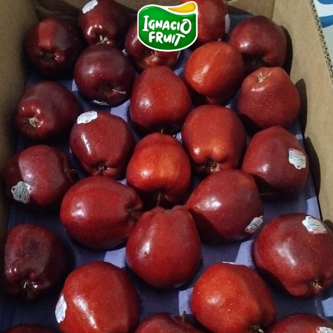 Instant Indukbuah Buah Apel Merah Washington 1 Dus /Sameday/Buah Lokal/Buah Import/Ignacio Box/Jakar