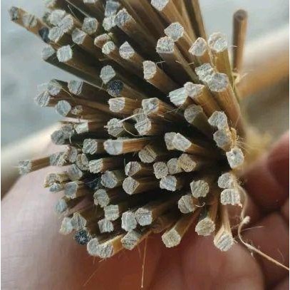 C0D Arku Layangan Panjang 58/60Cm 3Mm 200 Batang Bambu