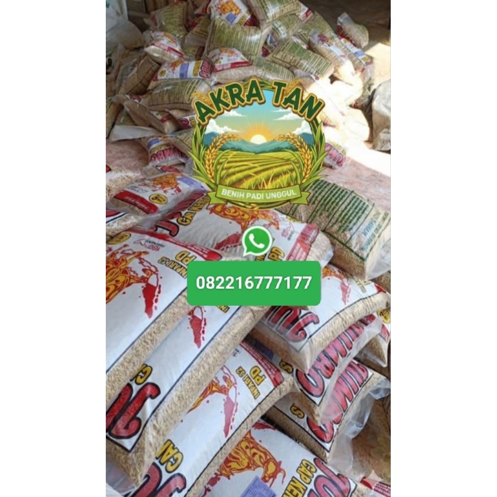 JANGANLIRIK BIBIT BENIH PADI INPARI 32 PD JUMBO CAP KERBAU MAS