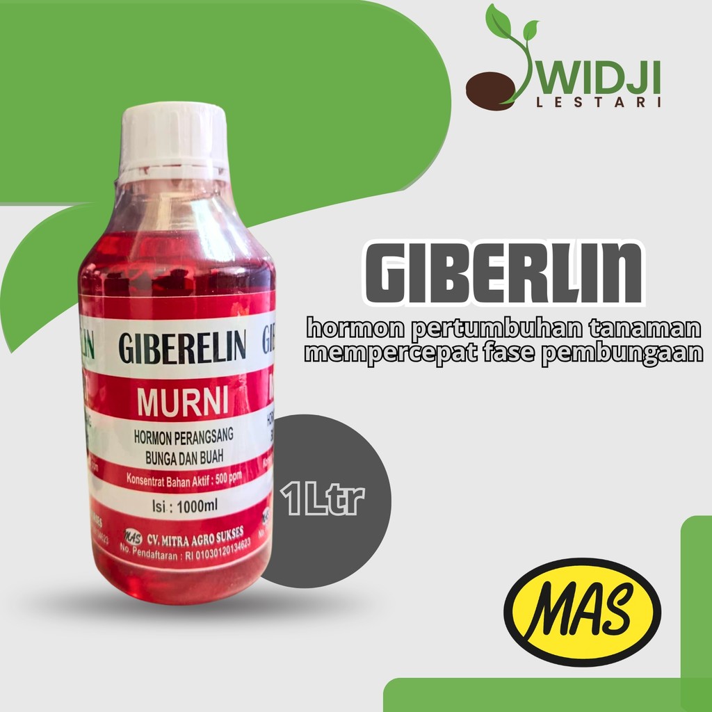 Giberelin Murni Literan Membantu Pembungaan dan Perbesaran Buah Tanaman